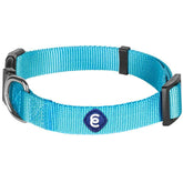 Blueberry Pet collar ajustable turquesa para paseos diarios.