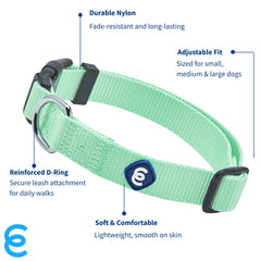 Blueberry Pet Essentials collar con anilla en D cromada para sujeción segura.