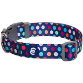 Blueberry Pet collar arcoíris con puntos, ajuste cómodo para paseos diarios