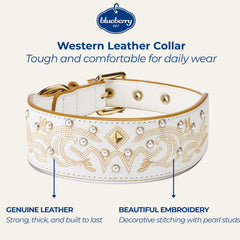 Blueberry Pet collar detalle bordado floral, acabado elegante para el look diario