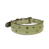 Collar Blueberry Pet con grabado en relieve verde salvia para paseos con estilo.