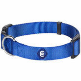 Blueberry Pet Essentials collar grande azul royal para paseos diarios.