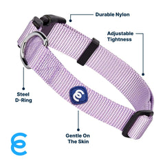 Hebillas ecológicas en collar Blueberry Pet, opción sostenible para mascotas