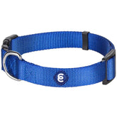 Collar mediano Blueberry Pet en azul real, perfecto para paseos con estilo y confort.