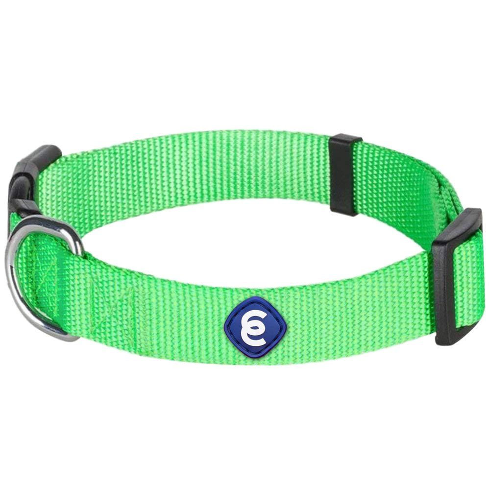 Blueberry Pet collar neon verde con ajuste duradero para perros grandes