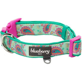 Blueberry Pet collar neopreno acolchado verde esmeralda para paseos cómodos.