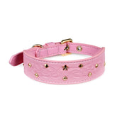 Blueberry Pet collar premium, grabado rosa glam con remaches dorados para estilo diario.