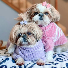 Blueberry Pet suéter chenille rosa polvo, tejido resistente al lavado para caminatas largas.