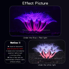 Bluecoco corales brillantes para acuario que iluminan suavemente.
