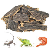 BNOSDM trozos de corcho natural para terrario brindan refugio seguro para reptiles.