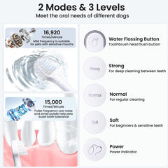 Bobopal flujo de agua dental para limpieza más completa