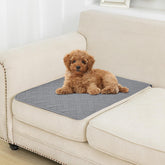 Boctopug funda de cama para perros, vista frontal, protección impermeable para muebles.