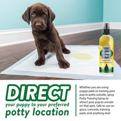 Bodhi Dog Potty Training Spray, aroma suave que guía al perro al lugar correcto.