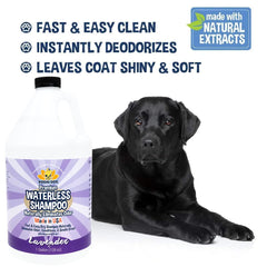 Bodhi Dog Waterless Shampoo para perros y gatos: uso sin enjuague seguro para piel sensible.