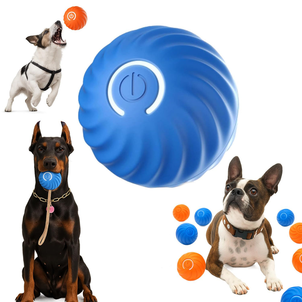Bola saltarina para perros: diseño automático con luz brillante para juego activo al aire libre.