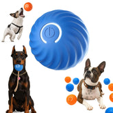Bola saltarina para perros: diseño automático con luz brillante para juego activo al aire libre.