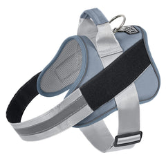 Arnés Bolux ajustable y transpirable para perro, ideal para paseos diarios.