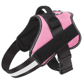 Arnés Bolux para perros pequeños, frente rosa, sin tirones, ideal para paseos suaves