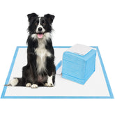 Bolux Pad de Entrenamiento para Perro: gestión de desechos en casa.