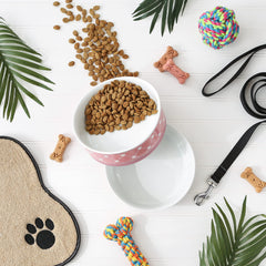 Tazones de cerámica grandes de Bone Dry Trellis para mascotas.