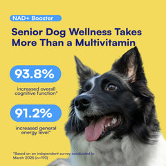 Boops Pets NAD+ Precursor gominolas suaves para perros mayores