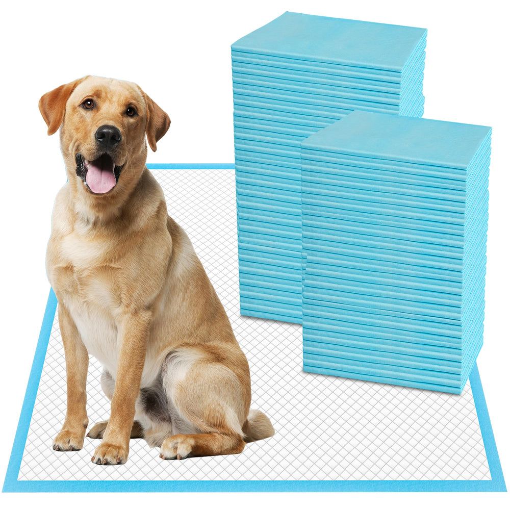 Pañales absorbentes Boscute XXL 30x36 mantienen seco a tu mascota de forma confiable.