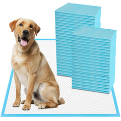 Pañales absorbentes Boscute XXL 30x36 mantienen seco a tu mascota de forma confiable.