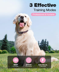 Bousnic collar de doble canal para entrenar dos perros a la vez.