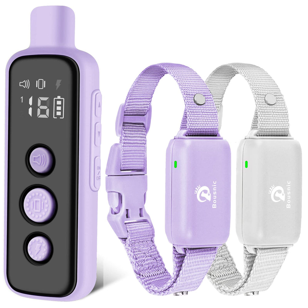 Receptor del collar Bousnic para entrenamiento de dos perros.