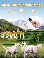 BOUSNIC collar con modos de entrenamiento para corrección precisa.