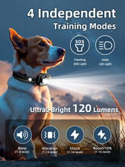 BOUSNIC collar-pantalla TFT muestra niveles y memoria de entrenamiento