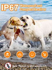 Sistema de doble canal para entrenar dos perros simultáneamente con seguridad.