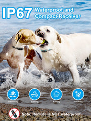 BOUSNIC control remoto dual-canal para dos perros