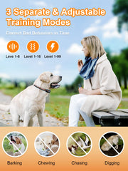 Receptor IP67 impermeable BOUSNIC para duchas y caminatas con perro.