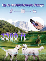 BOUSNIC sistema multicanal entrenamiento dos perros con dos canales.