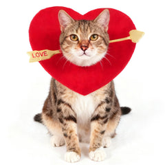 Boveco tocado para perro san valentín flecha dorada añade encanto para fotos y fiestas.