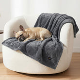 Manta BoxZone impermeable para perros pequeños, ideal para sofá