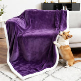 Manta impermeable de BoxZone para perros sobre sofá protege el mueble.