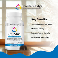 Breeder’s Edge Oxy Stud dosis diaria para la alimentación.