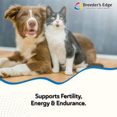 Breeder’s Edge Oxy Stud gomitas suaves para machos.