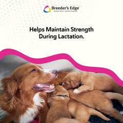 Base de leche de cabra de Breeder’s Edge Cal Plus con alta digestibilidad para mascotas.