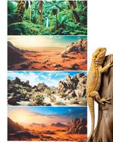 Breling fondo desierto Gobi con cactus y piedra para un hábitat realista.