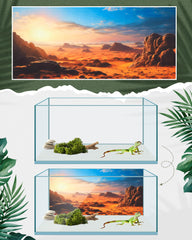 Breling fondo selva tropical con hojas exuberantes para observación atractiva.