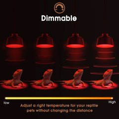 Lámpara mini Briignite para terrarios pequeños y calor compacto.