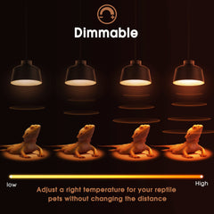 Bombilla Briignite, calor regulable para reptiles, uso en tanque.