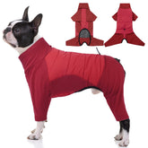 BRKURLEG abrigo para perro invierno, vista frontal, mantiene el calor en caminatas frías.