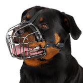 BRONZEDOG bozal ajustable para perros grandes, comodidad y ajuste seguro.