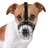 BRONZEDOG bozal de cuero con hebillas robustas para ajuste seguro durante paseos