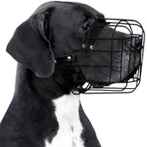 BRONZEDOG bozal de cuero y PVC con ajuste cómodo para perros grandes.