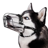 BRONZEDOG bozal grande ajustable con correas de cuero para control seguro